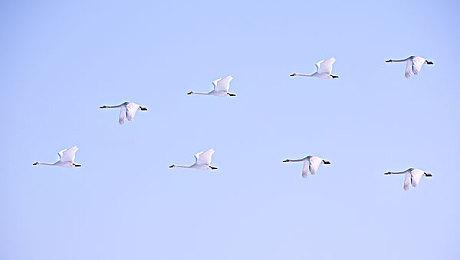 科幻生存游戏《多重人生》42分钟游戏实机